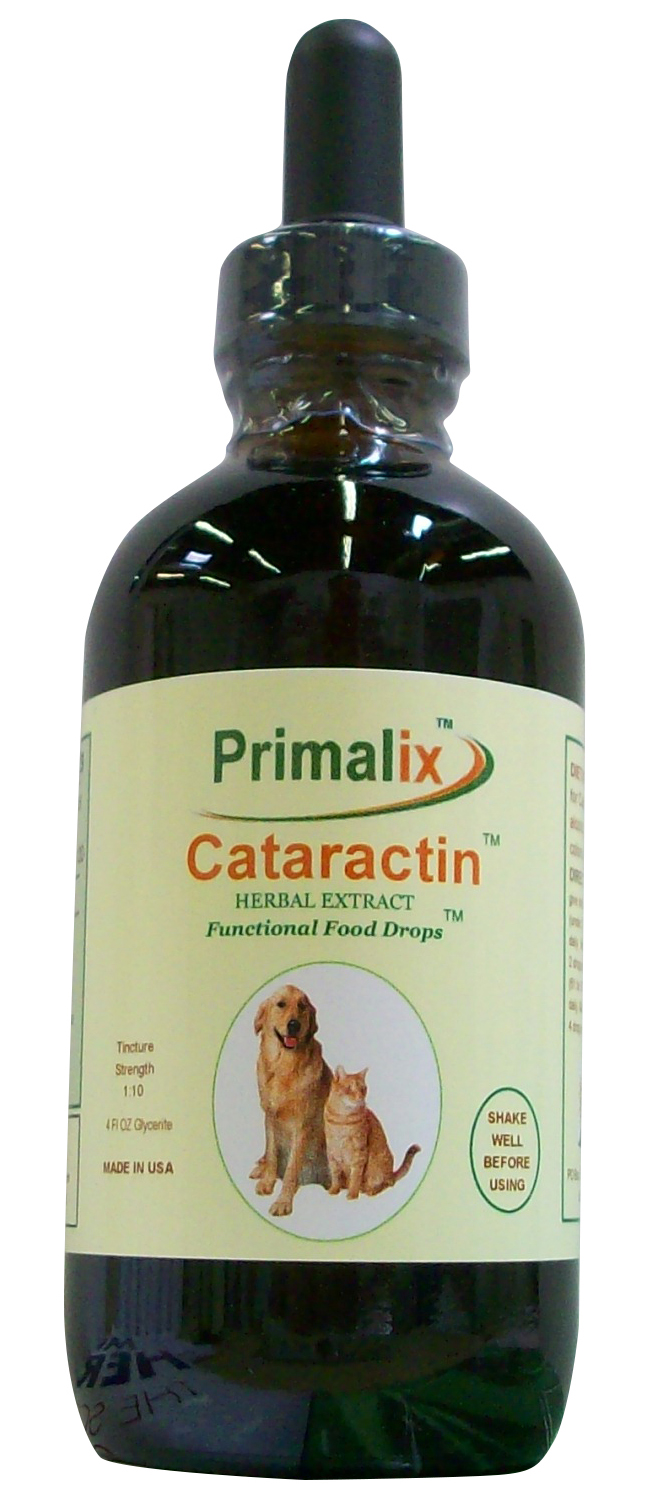 what do you do if your dog eats grass