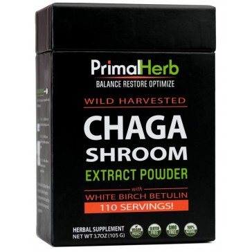 Chaga Shroom