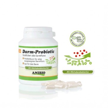 Darm Probiotic ( probiotico intestinale )